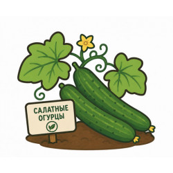 Салатные