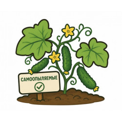 Самоопыляемые