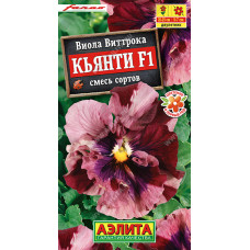 Цветы Виола Кьянти 5шт Аэлита