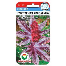 Цветы Клещевина Пурпурная красавица 5шт СибСад