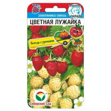 Цветная лужайка 10шт смесь СибСад