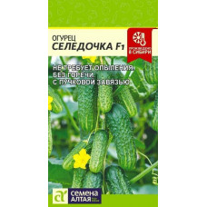 Огурцы Селедочка 5шт СемАлт