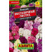 Цветы Левкой Выставочный экстра смесь 30шт Лидер Аэлита