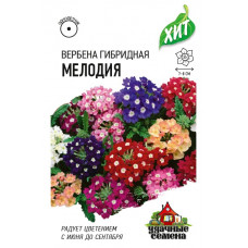 Цветы Вербена Мелодия гибридная смесь 0.05г ХИТ Гавриш