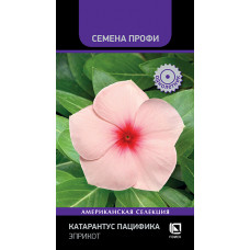 Цветы Катарантус Пацифика Эприкот 10шт Поиск