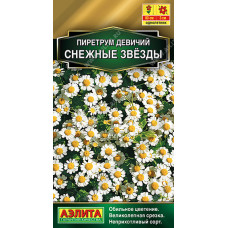 Цветы Пиретрум Снежные звезды 7шт Аэлита