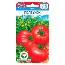 Томат Ползунок 20шт СибСад