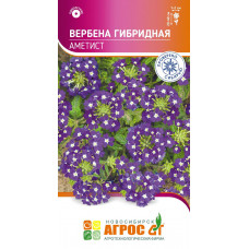 Однолетние и многолетние Вербена Аметист гибридная 0.1г Агрос