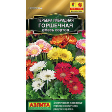 Цветы Гербера Горшечная смесь 10шт Аэлита