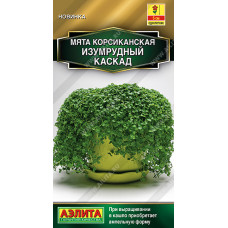 Кухонные травы Мята Изумрудный каскад корсиканская 3шт Аэлита