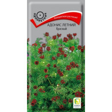 Цветы Адонис летний Красный 0.3г Поиск