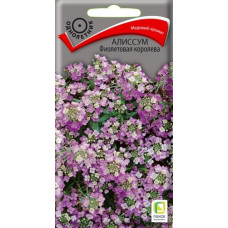 Цветы Алиссум Фиолетовая королева 0.3г Поиск