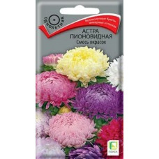 Астра Пионовидная смесь окрасок 0.3г Поиск