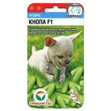 Огурцы Кнопа F1 7шт СибСад