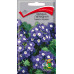 Цветы Вербена Синяя с глазком гибридная 0.1г Поиск