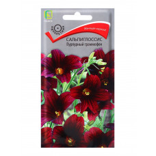 Однолетние и многолетние Сальпиглоссис Пурпурный граммофон 0.01г Поиск