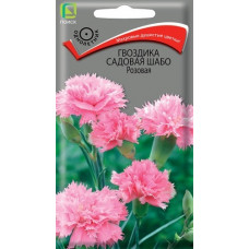 Однолетние и многолетние Гвоздика Шабо Розовая 0.1г Поиск