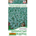 Цветы Дихондра Серебристый водопад 3шт Аэлита