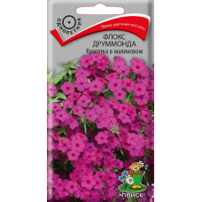Цветы Флокс Красотка в малиновом друммонда 0.1г Поиск