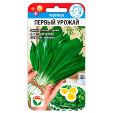 Кухонные травы Черемша Первый урожай 0.3г СибСад
