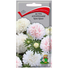Цветы Астры Аполлония Крем-брюле 0.3г Поиск