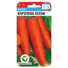 Морковь Королева осени 2г СибСад