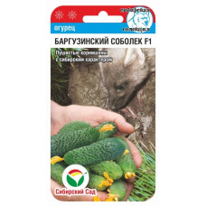 Огурцы Баргузинский соболек F1 7шт СибСад