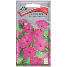 Однолетние и многолетние Мирабилис Пурпурный леденец 1г Поиск