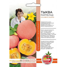 Тыква Мармелад тыква 6шт УД Тыква Мармелад тыква 6шт УД