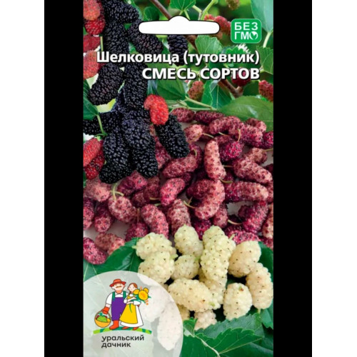 Шелковица (тутовник) Смесь сортов 12шт УД Шелковица (тутовник) Смесь сортов 12шт УД