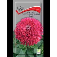 Однолетние и многолетние Цинния Бордо георгиноцветковая 0.4г Поиск