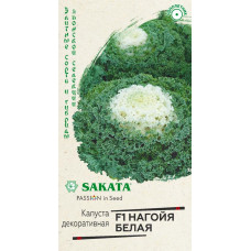 Однолетние и многолетние Капуста декоративная Нагойя белая F1 7шт Гавриш Однолетние и многолетние Капуста декоративная Нагойя белая F1 7шт Гавриш