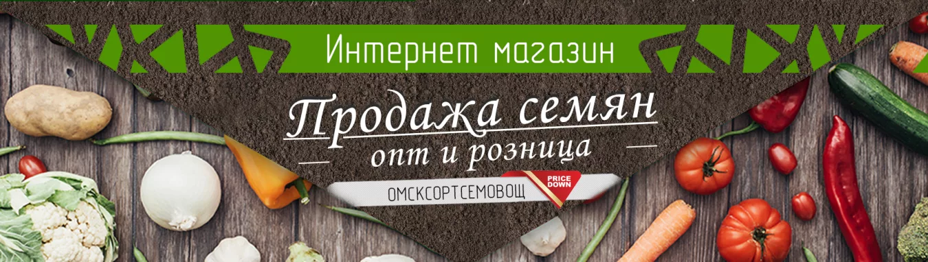 Главный баннер